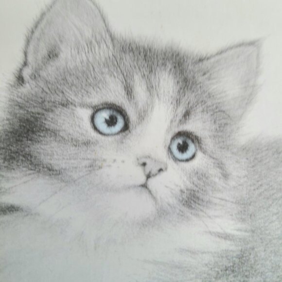 Signed by Virginia Miller framed art. Kitten portrait. - Picture 1 of 5